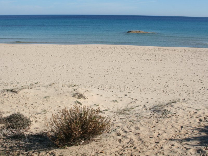 Strand Strand