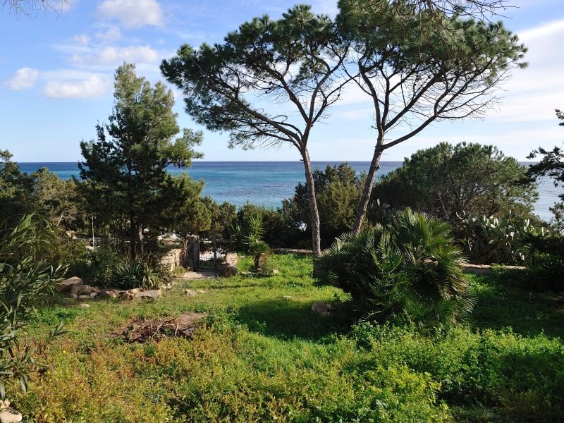 Blick durch den Garten auf das Meer Blick durch den Garten auf das Meer