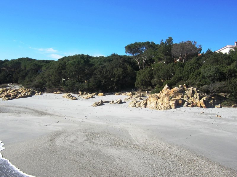Strand vorm Haus Strand vorm Haus