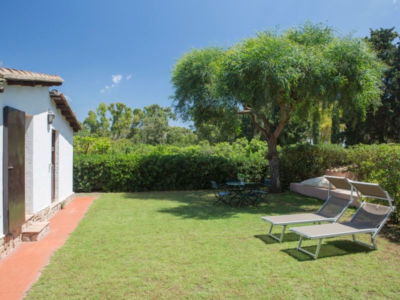Garten mit Esstisch unter dem Mimosenbaum und Sonnenliegen Garten mit Esstisch unter dem Mimosenbaum und Sonnenliegen