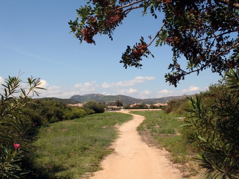Weg zum Strand Weg zum Strand