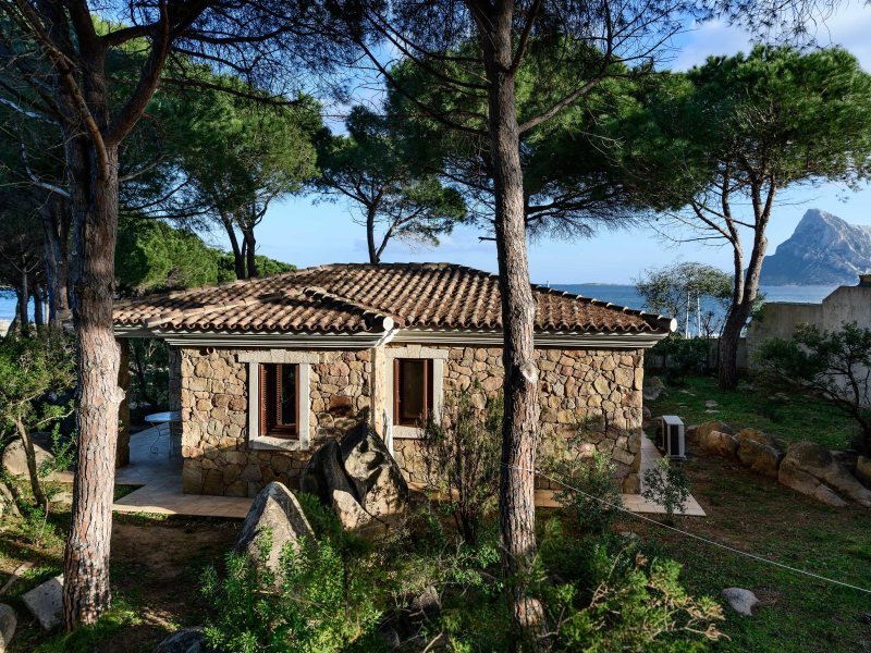 Lage von Casa Pineta im Pinienhain mit Meer und Insel Tavolara im Hintergrund Lage von Casa Pineta im Pinienhain mit Meer und Insel Tavolara im Hintergrund