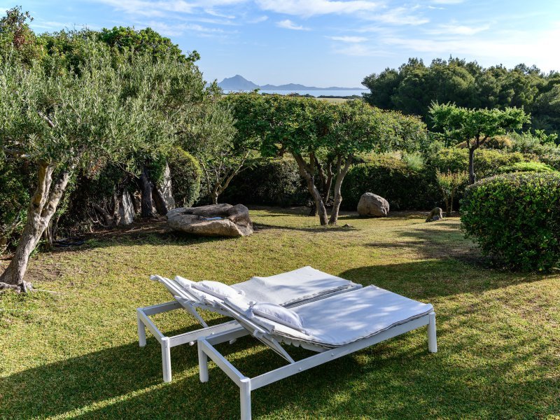 Garten mit typischen Sträuchern und altem Baumbestand Garten mit typischen Sträuchern und altem Baumbestand