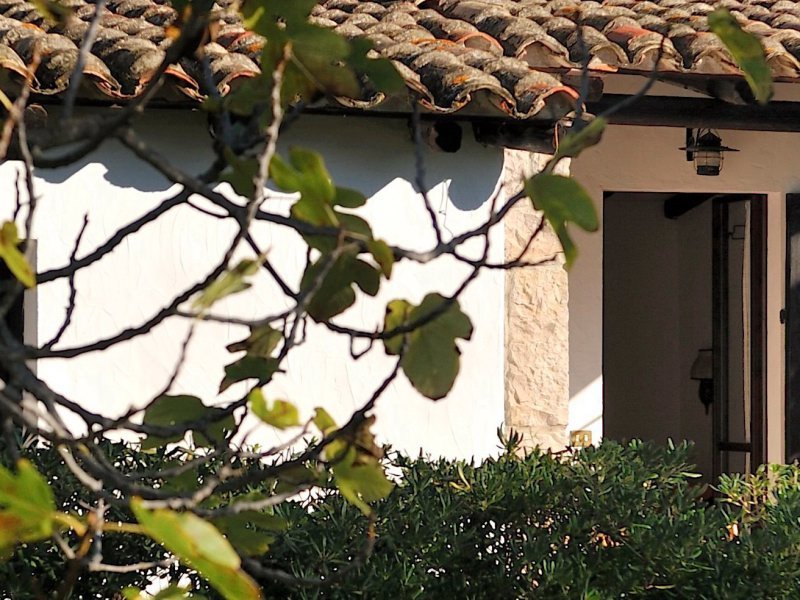 DE: sardische Pflanzen umgeben das Haus im Süden Sardinien
EN:
IT: DE: sardische Pflanzen umgeben das Haus im Süden Sardinien
EN:
IT: