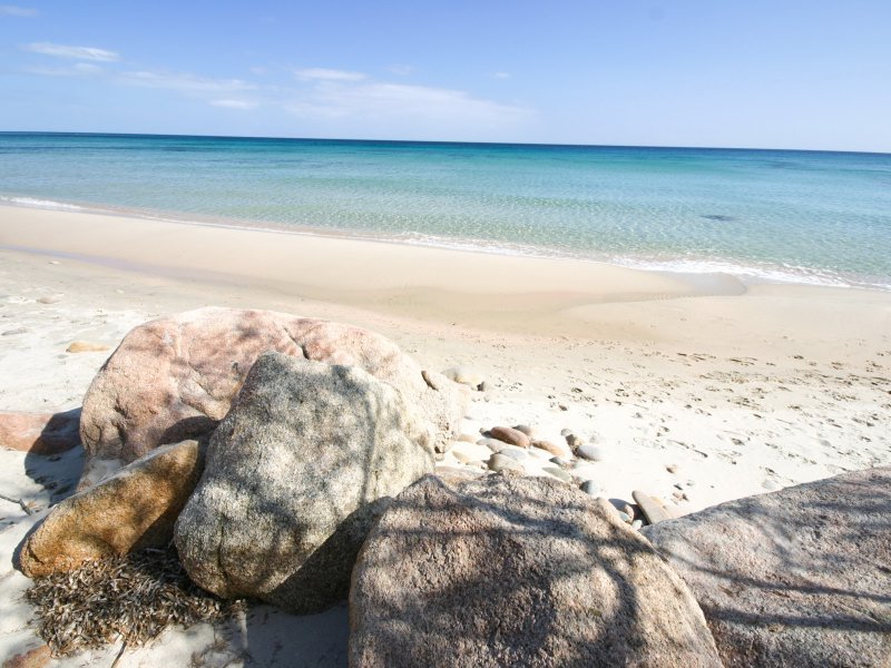Strand Villa Pola - nicht immer frei von Seegras Strand Villa Pola - nicht immer frei von Seegras