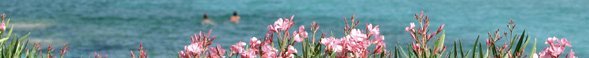 My Sardinia
