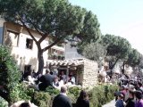 Sagra degli Agrumi