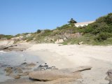 Beach in front of the house