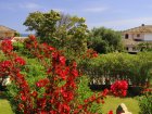 Vista dal balcone
