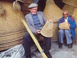 Cestini