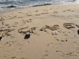 Die Initialien einiger Mitarbeiter im Sand der Costa Rei Die Initialien einiger Mitarbeiter im Sand der Costa Rei
