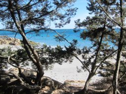 Blick durch Pinien auf den weißen Strand und das blaue Meer von Cala Liberotto Blick durch Pinien auf den weißen Strand und das blaue Meer von Cala Liberotto