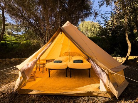 Zelt 3, 4 und 5 - Die kleinen Zelte stehen unter alten Olivenbäumen