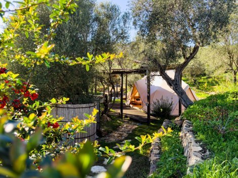 Zelt 1 - Zelt unter dem Olivenbaum, im Vordergrund die Außendusche.
