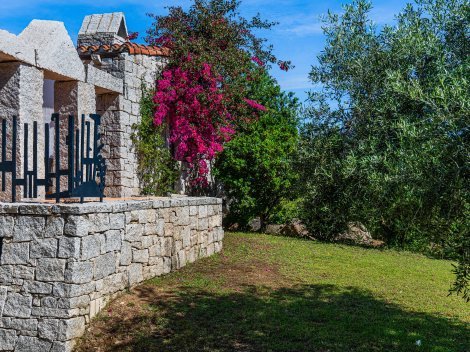 Der eingewachsene Garten ist privat