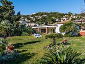 Blickdichter Garten abgeschirmt durch Oleander